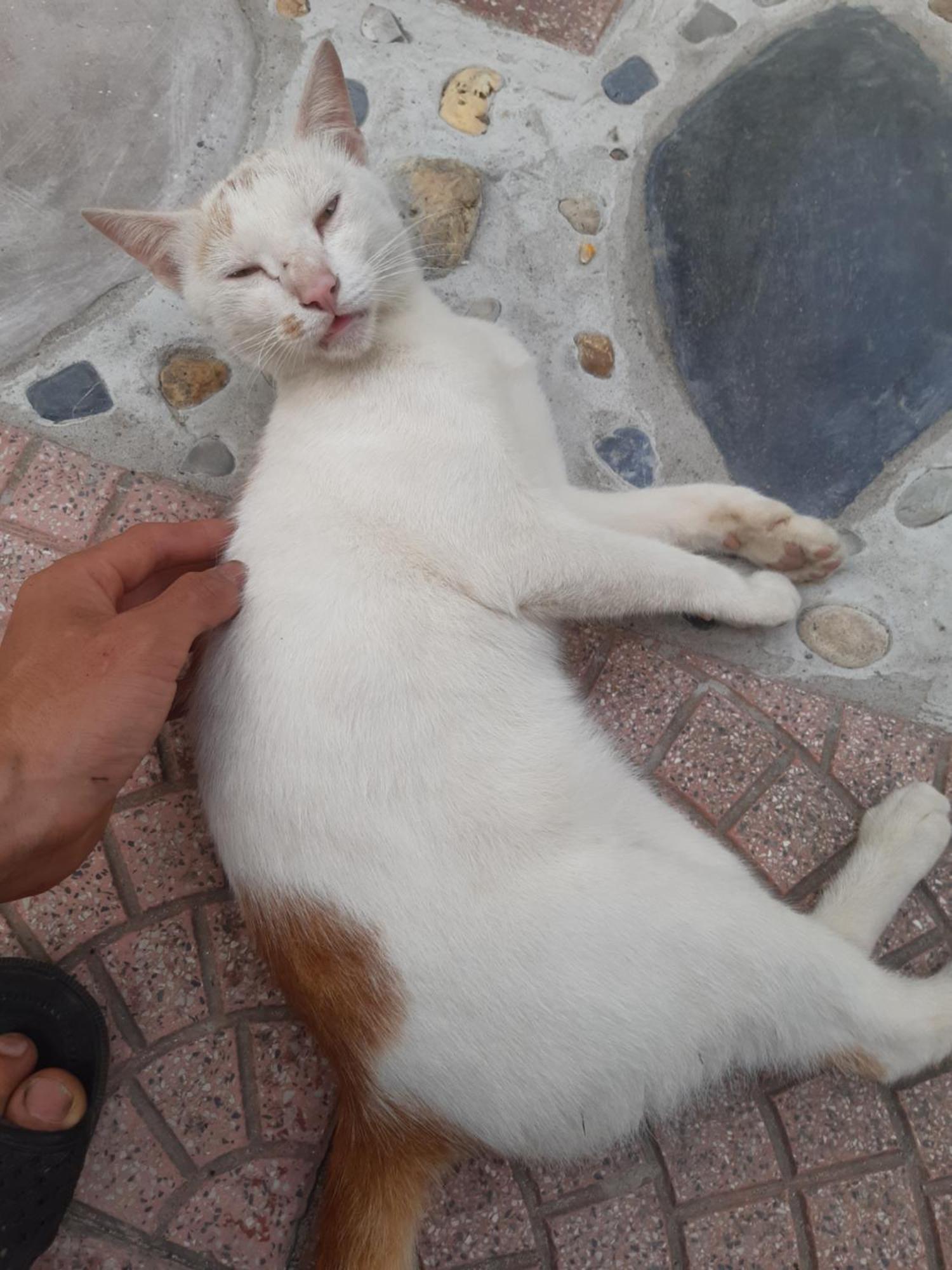 Central Hills Cat Ba Xuan Dam Екстер'єр фото