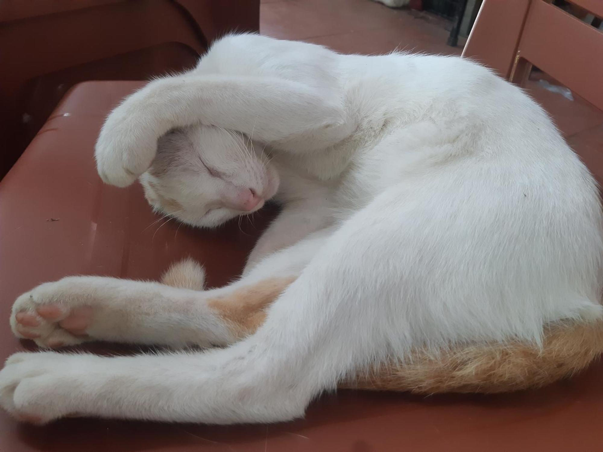 Central Hills Cat Ba Xuan Dam Екстер'єр фото